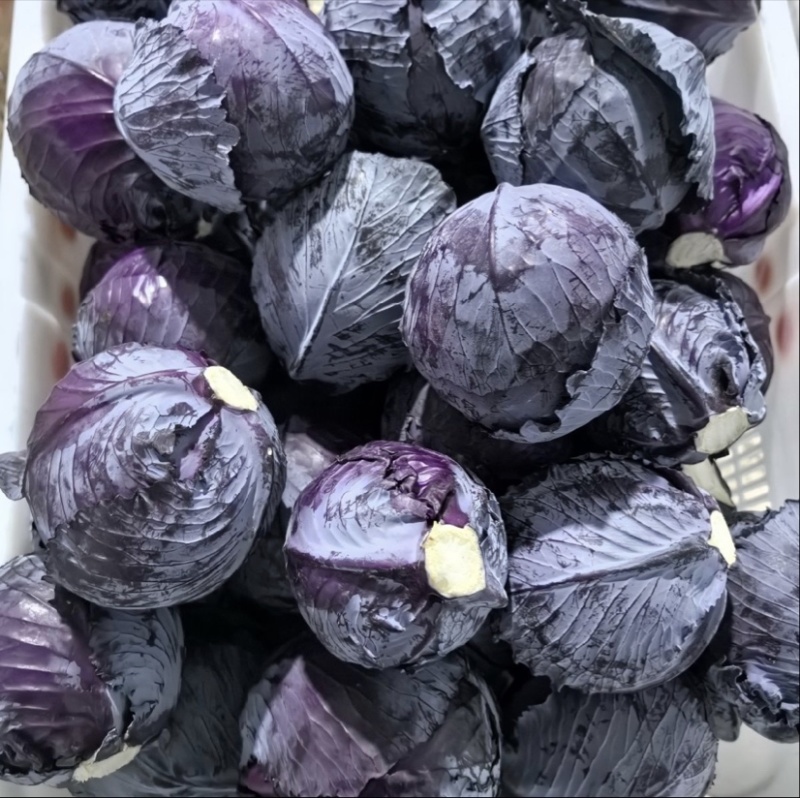 湖北紫甘蓝，产地一手直发，货源充足，保质保量。