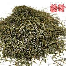 松针中药材松针新货松针品质保证无硫熏正品松针