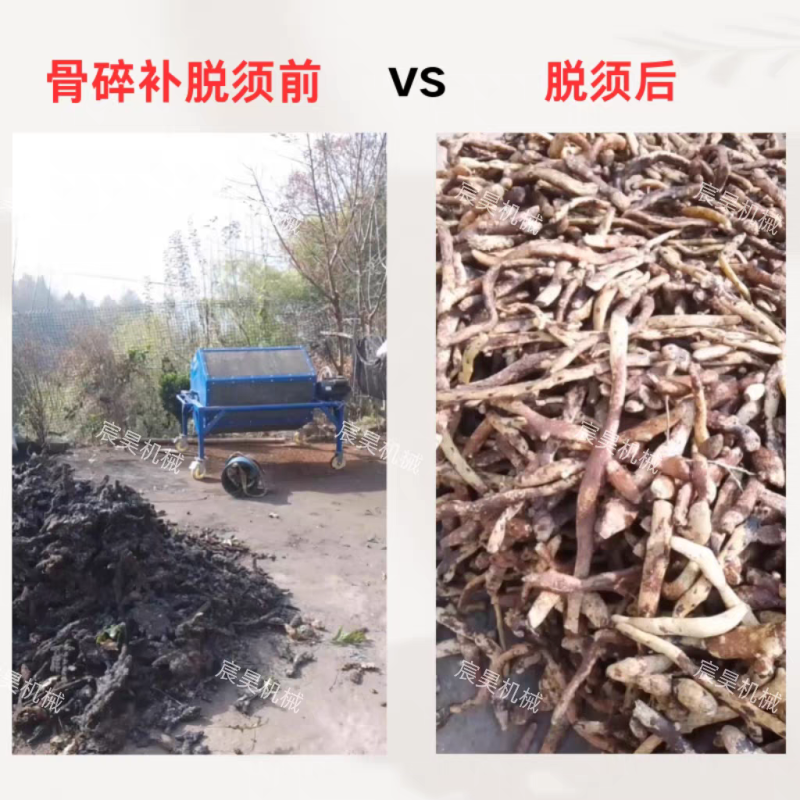 中药材清洗脱须破土专用射干百部骨碎补黄精玉竹石菖蒲滚筒筛