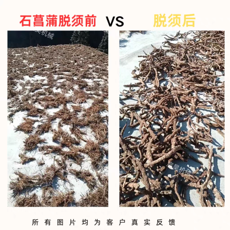 中药材清洗脱须破土专用射干百部骨碎补黄精玉竹石菖蒲滚筒筛