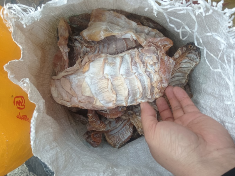 干笋