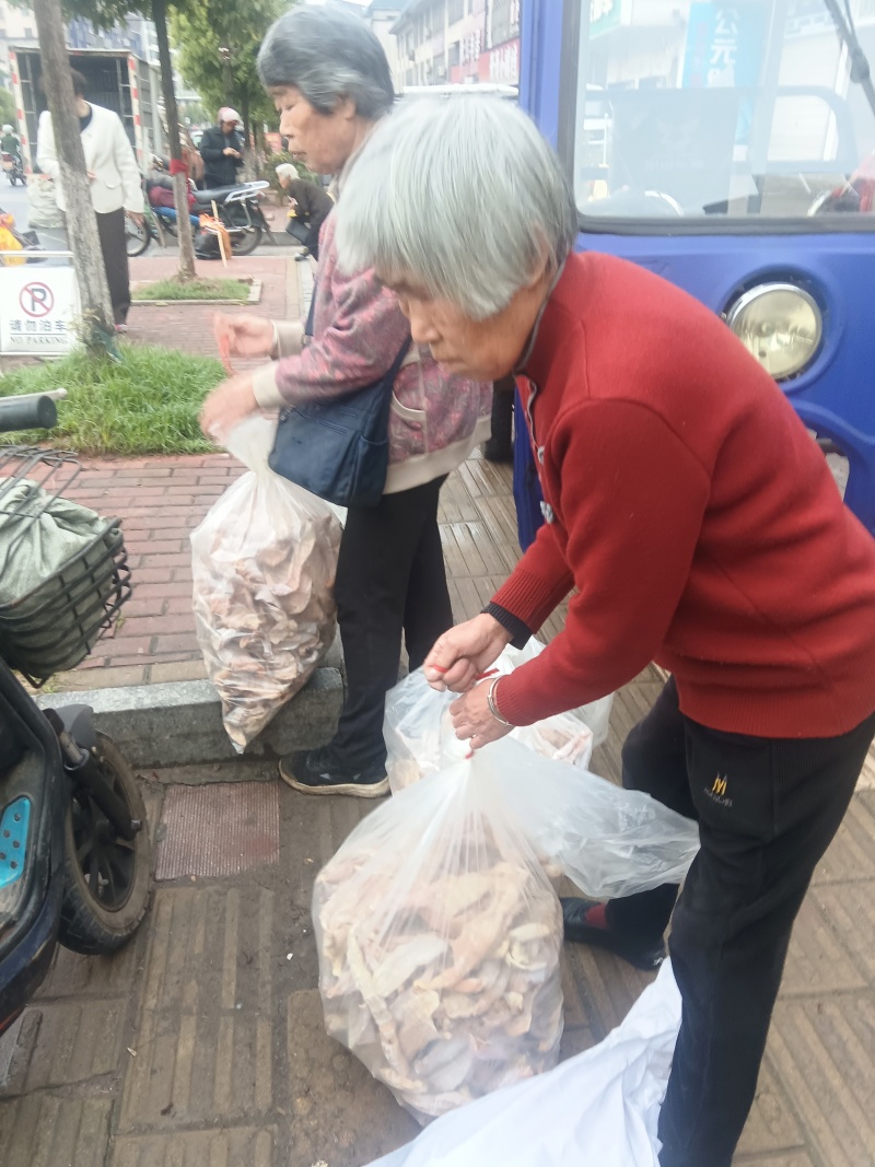 干笋