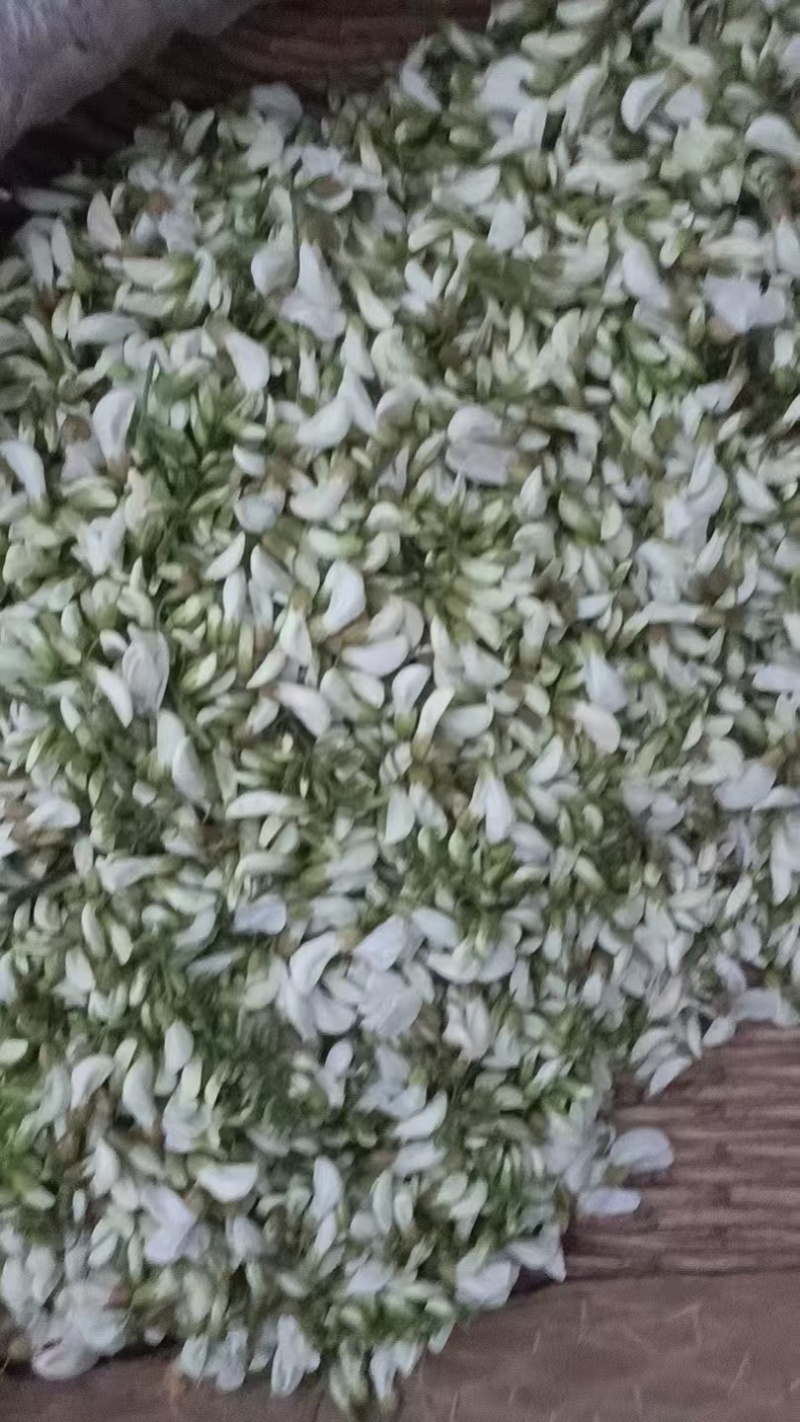 大量槐花