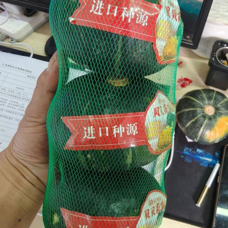 贝贝南瓜