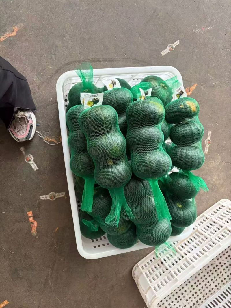 贝贝南瓜