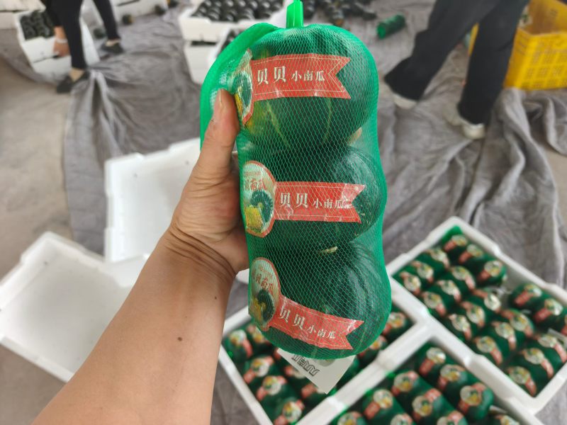 贝贝南瓜
