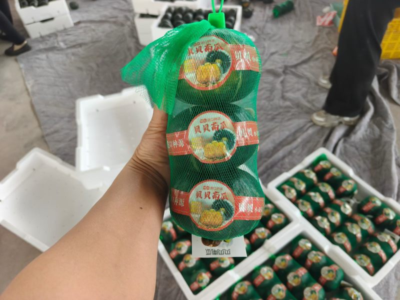 贝贝南瓜