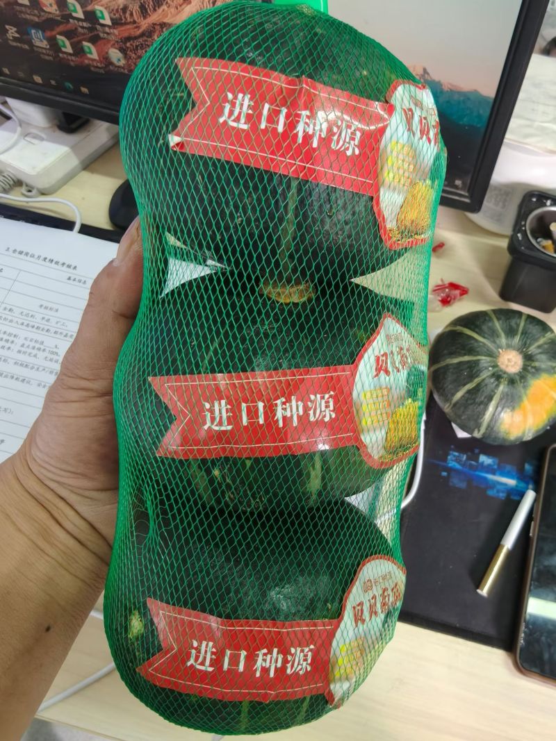 贝贝南瓜