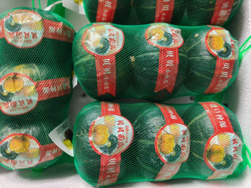 贝贝南瓜