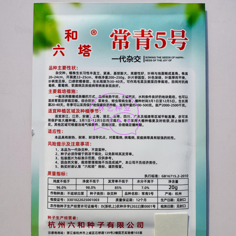 常青5号青菜种子春秋播软糯青梗菜种籽农家四季鸡毛菜蔬菜种
