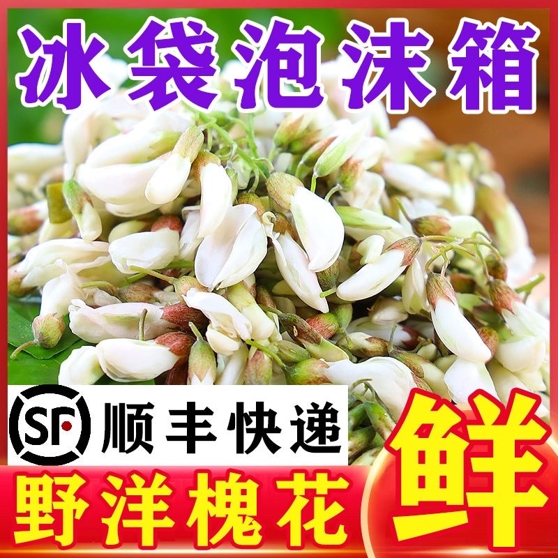 新鲜现摘洋槐花，一件代发，电商，日供2万斤➕