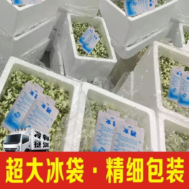 新鲜现摘洋槐花，一件代发，电商，日供2万斤➕