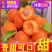 陕西大黄杏，一件代发，电商