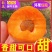 陕西大黄杏，一件代发，电商