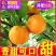 陕西大黄杏，一件代发，电商