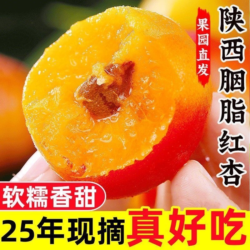 陕西贵妃红杏，胭脂红杏，一件代发，电商