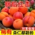 陕西贵妃红杏，胭脂红杏，一件代发，电商