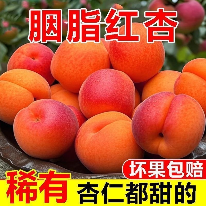 陕西贵妃红杏，胭脂红杏，一件代发，电商