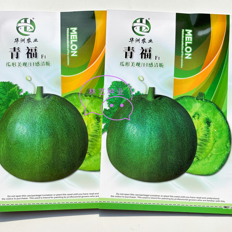 青福F1薄皮甜瓜香瓜种子口感清脆甜度好果肉香瓜种子