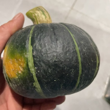 贝贝南瓜