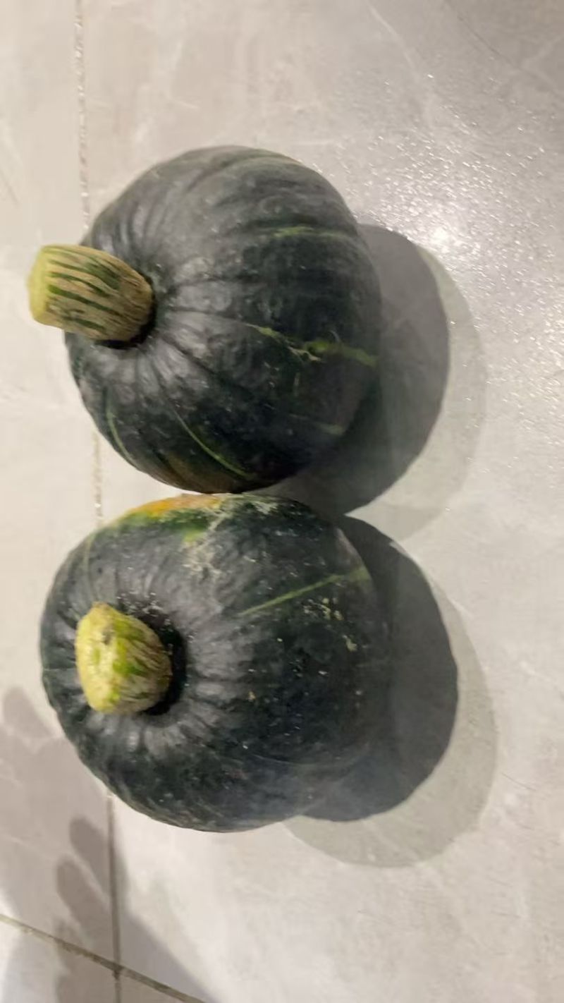 贝贝南瓜