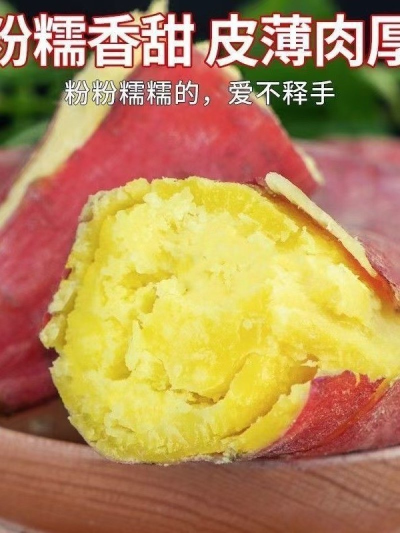 板栗蜜薯山东沙地生态种植板栗蜜薯一件代发