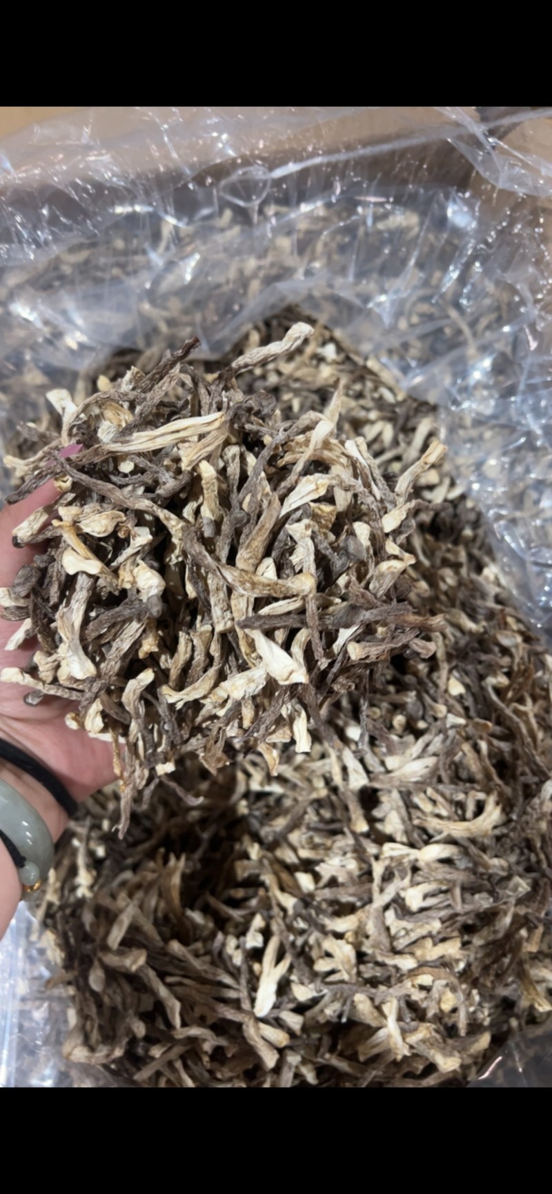 鹿茸菇干货厂家直销适用快餐饭店小嫩仔鹿茸菇干货