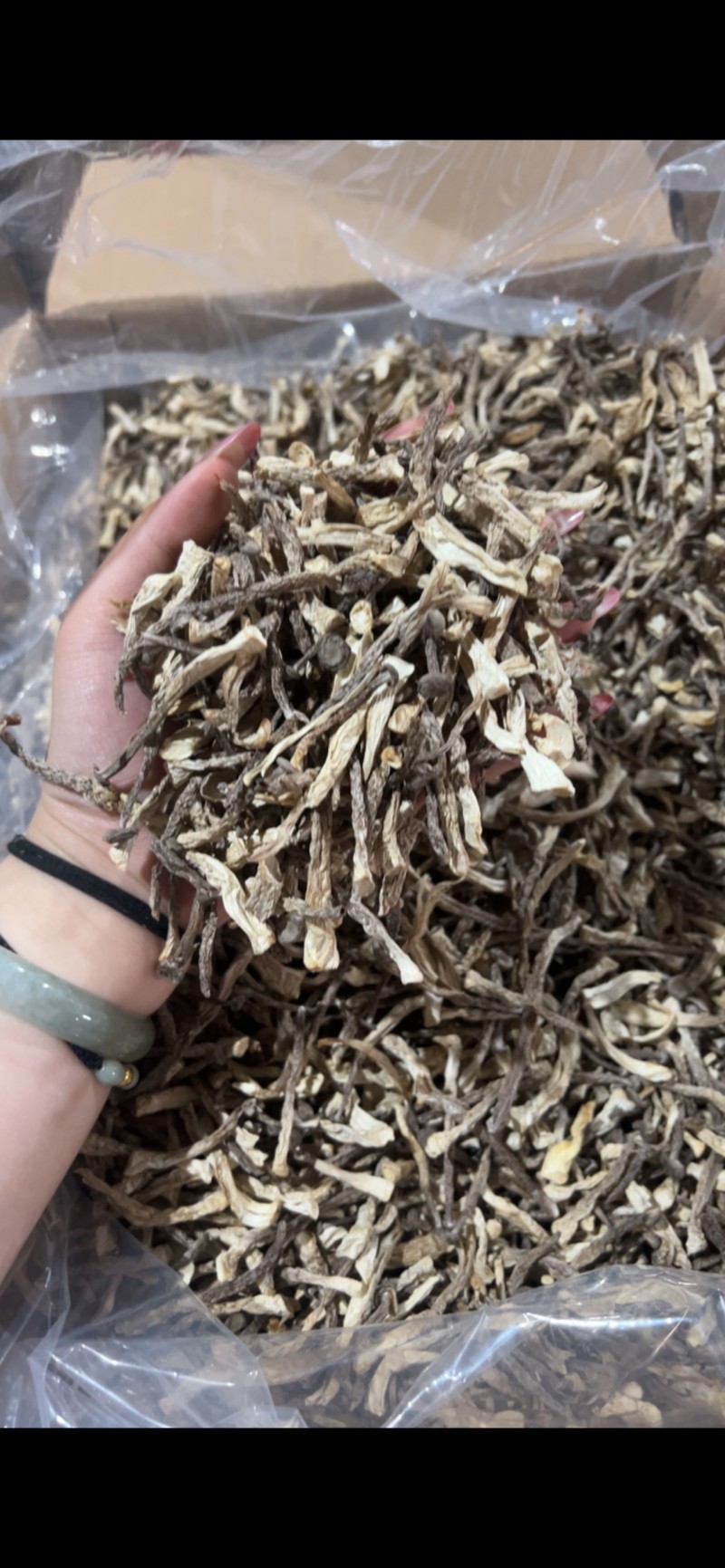 鹿茸菇干货厂家直销适用快餐饭店小嫩仔鹿茸菇干货
