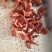 【卤味】一级大号卤鸭锁骨源头厂家批发现卤现发，肉多高品质