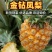 海南树上熟金钻凤梨手撕凤梨非菠萝新鲜应季热带水果一件代发