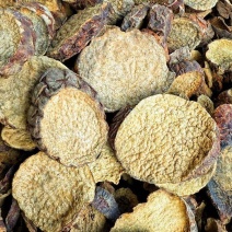 新疆管花肉苁蓉片