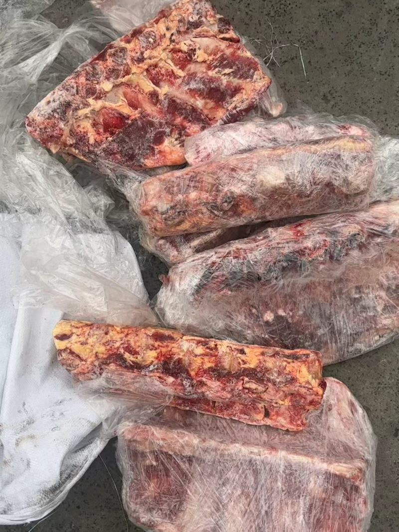 内蒙牛杂骨清库处理有肋眼骨