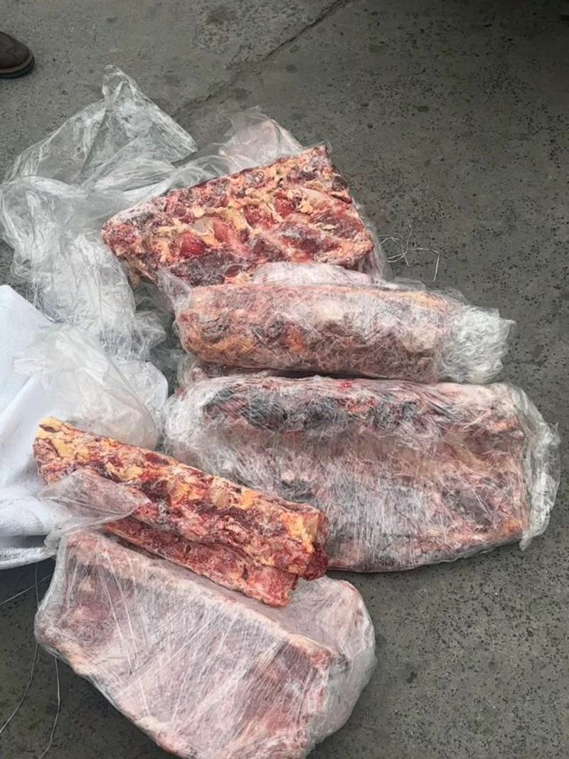 内蒙牛杂骨清库处理有肋眼骨