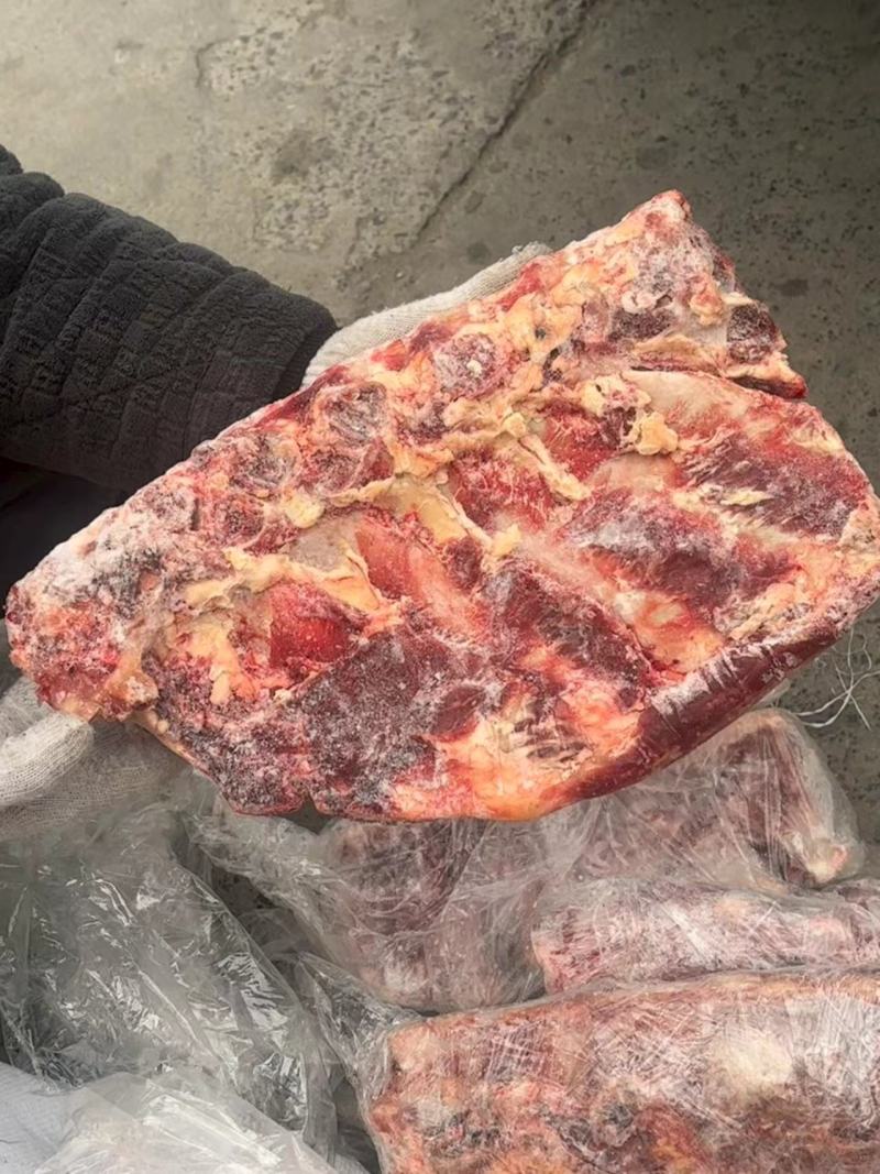 内蒙牛杂骨清库处理有肋眼骨