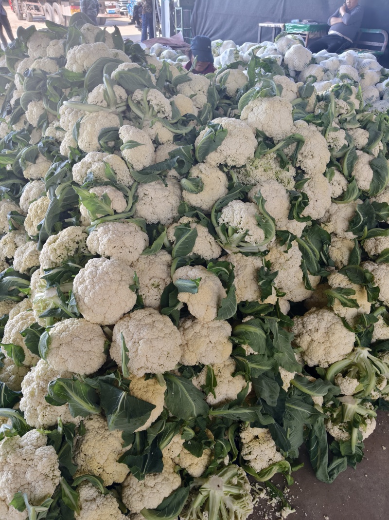 优质菜花