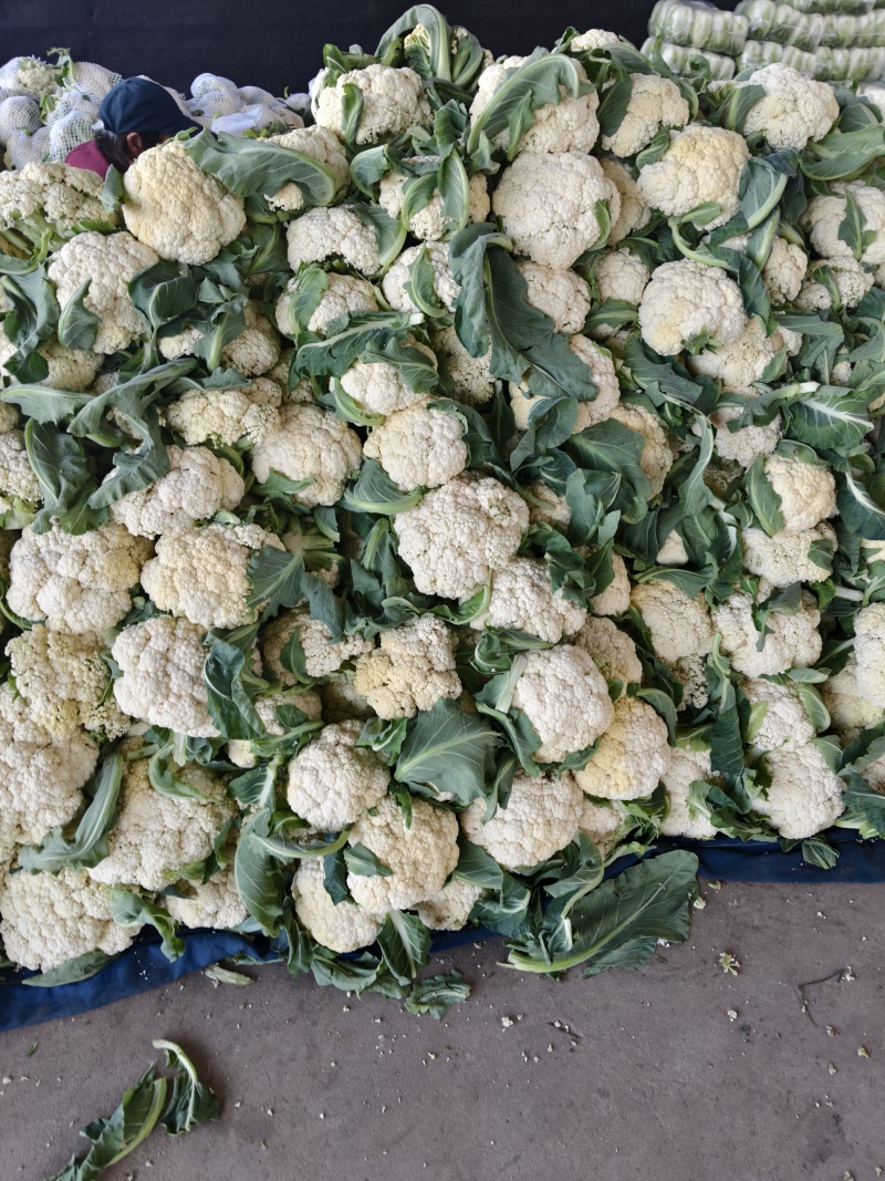 优质菜花