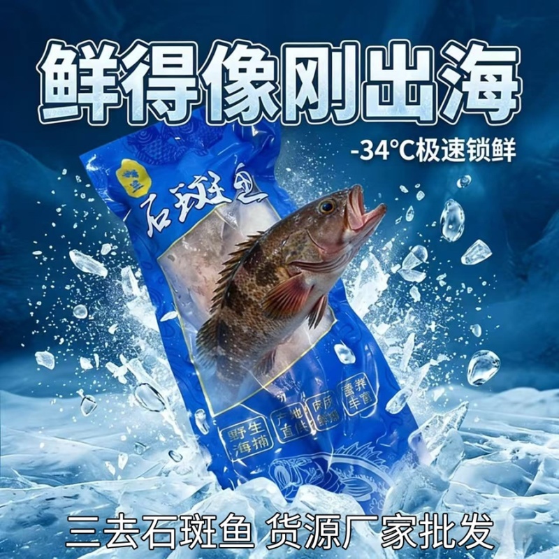 三去石斑鱼420克水产海产冻品批发电商餐饮酒店货源厂家
