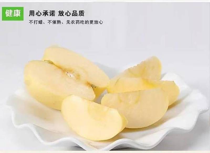 【电商代发】山东烟台奶油富士苹果纯甜多汁对接电商直播带货