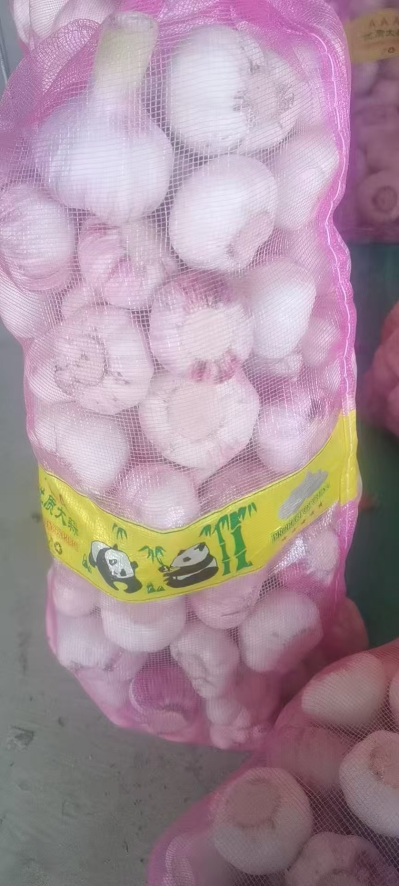 精品大蒜，新鲜采摘个大饱满欢迎咨询订购