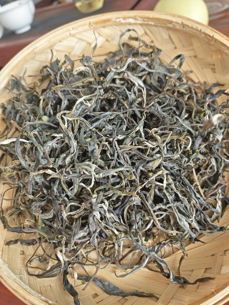 2026年易武普洱新茶