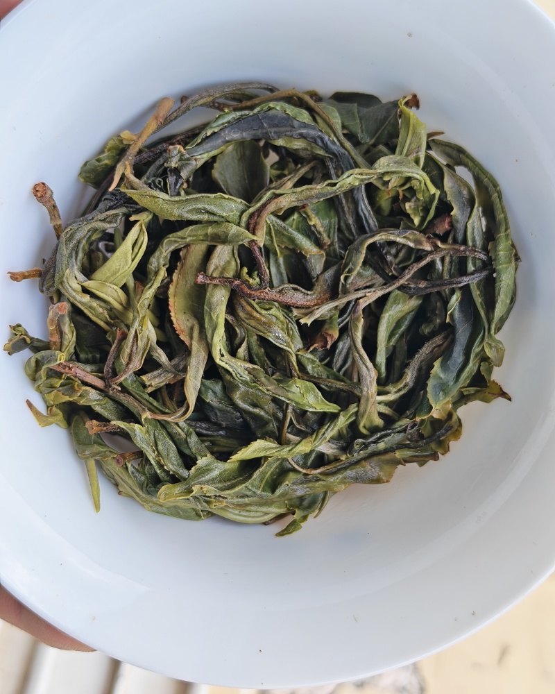 2026年易武普洱新茶