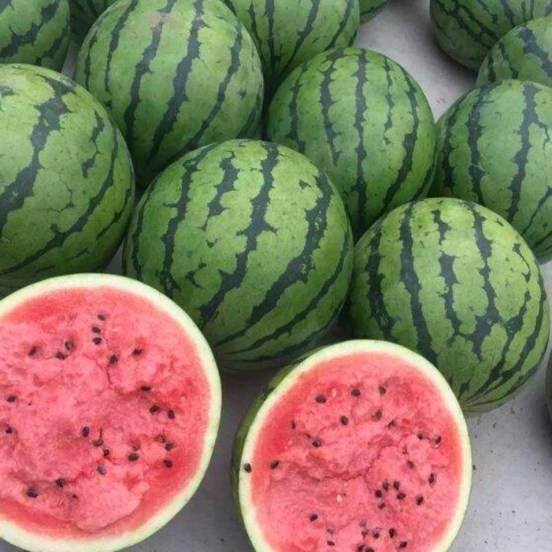 夏邑711西瓜强者711西瓜基地直供脆甜多汁，电联议价