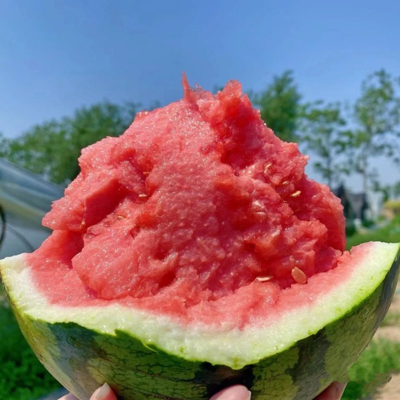 夏邑711西瓜强者711西瓜基地直供脆甜多汁，电联议价