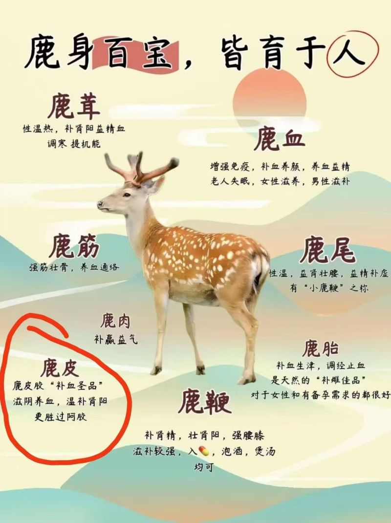 正规手续:纯鹿胶块