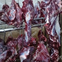 徐州黄牛肉后腿肉不分部位