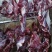 徐州黄牛肉后腿肉不分部位