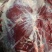 徐州黄牛肉后腿肉不分部位