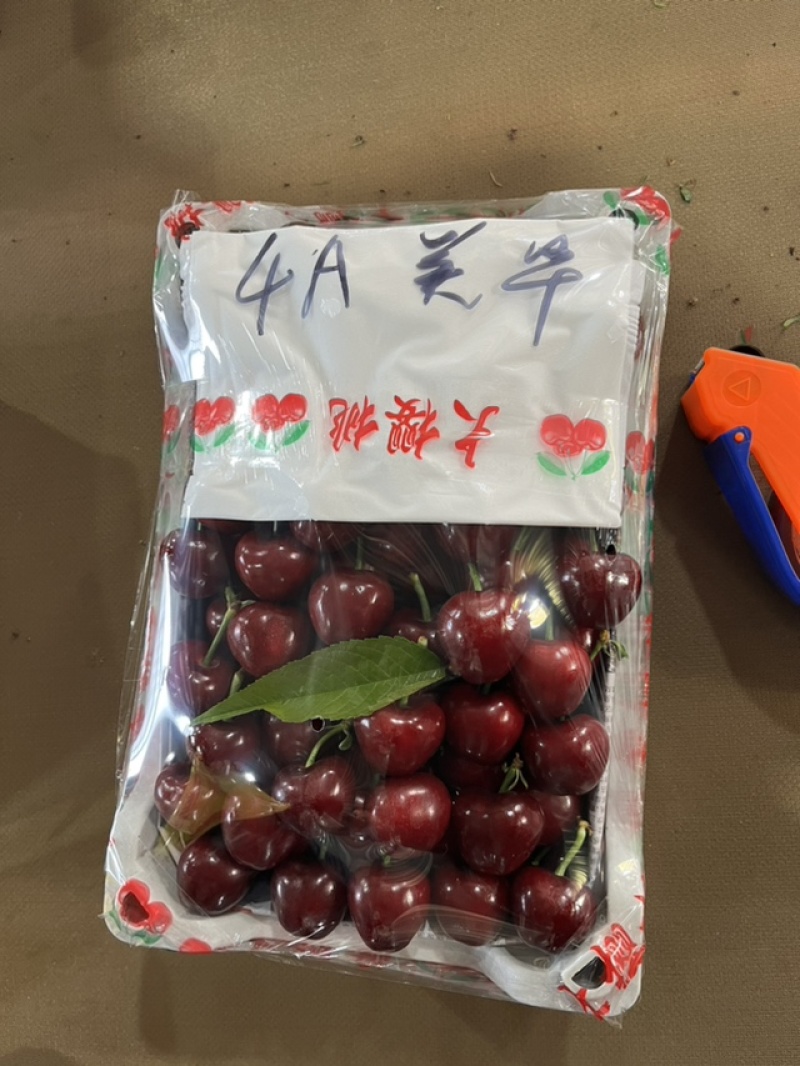 客户的信任是我们最大的动力
