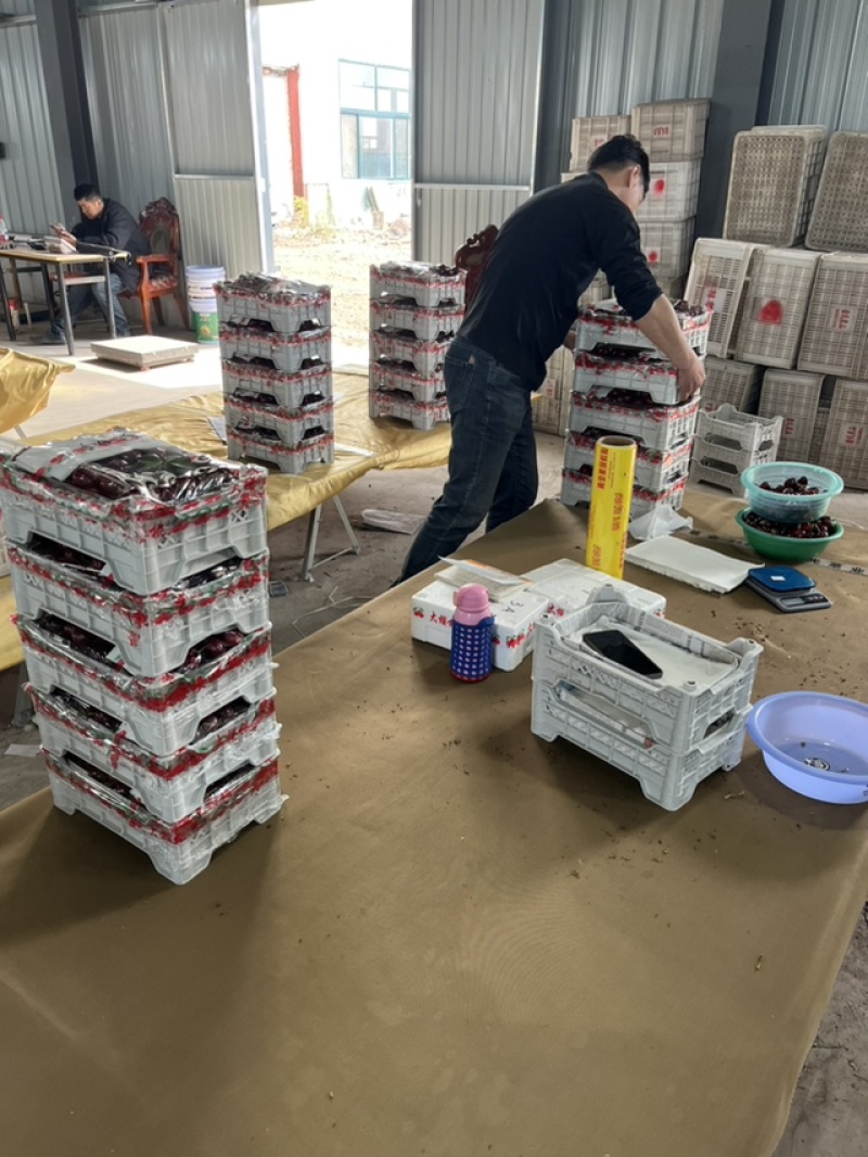 客户的信任是我们最大的动力