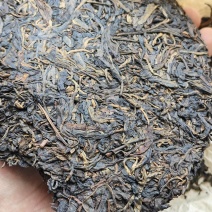 年份普洱茶